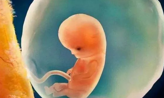 着床早晚与胎儿性别无关
