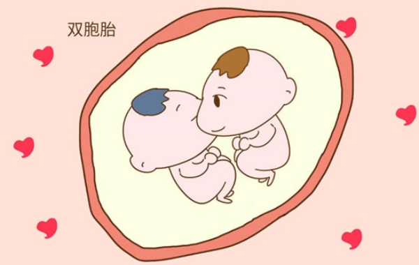 怀双胞胎是一件非常难得的事