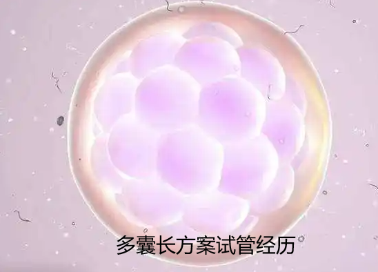 多囊长方案试管经历.png
