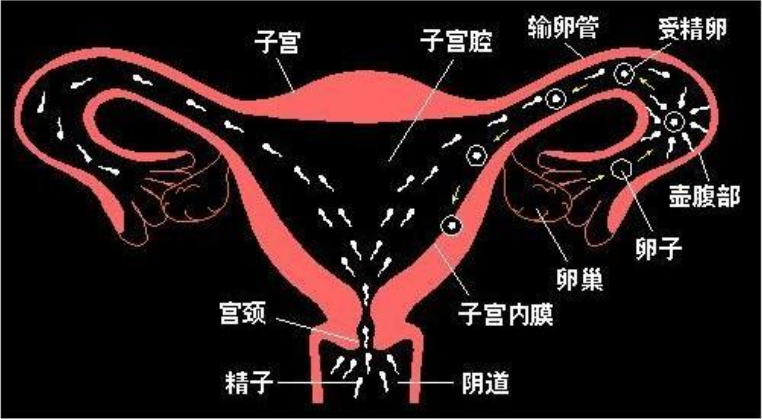 QQ截图20180623135947.png