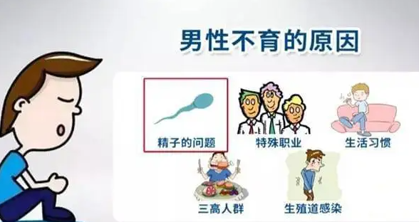 不孕不育原因有哪些.png