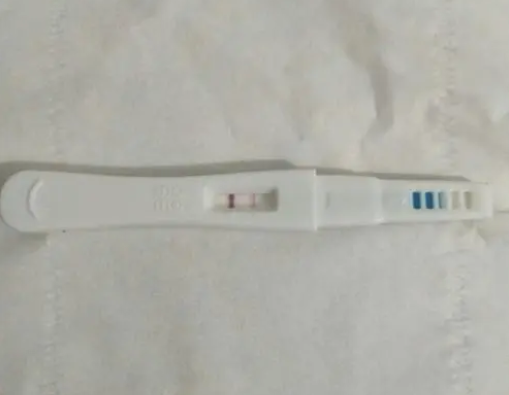 T区灰色可能是着床晚导致