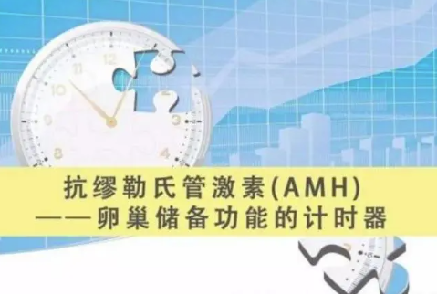 amh值0.81可以做试管吗