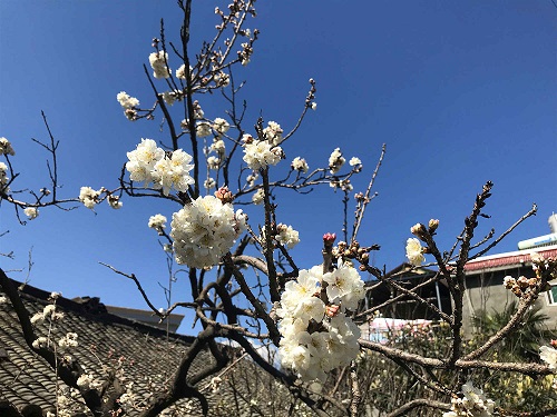 *图片_20200318161018.jpg