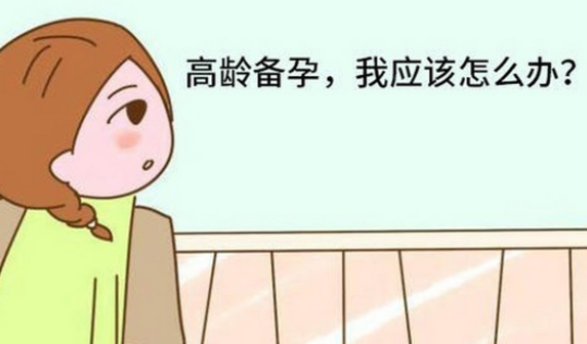 高龄产妇备孕.png