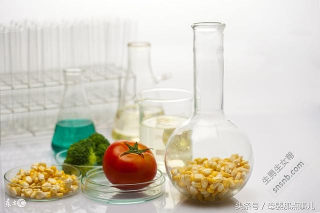 美国试管婴儿/周期中/移植后，需要做什么？注意什么？