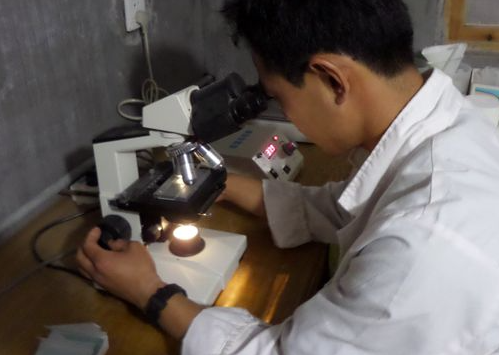 精子没味道可以做精液检查