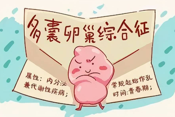 多囊2个卵泡的三代试管成功率