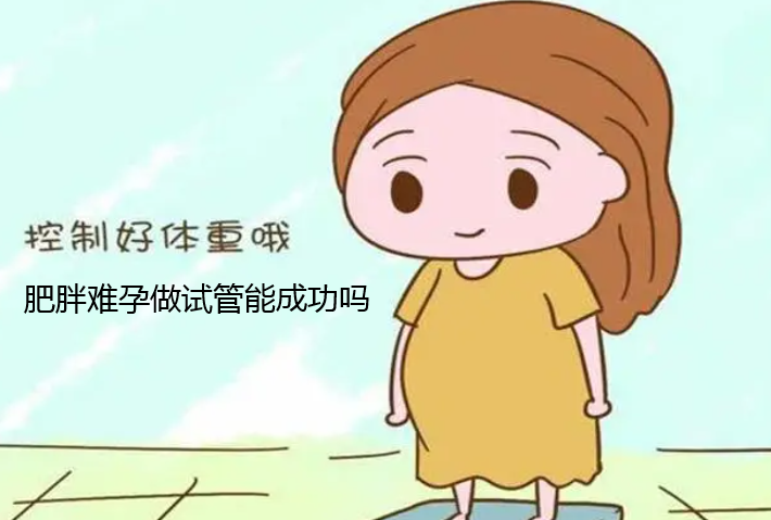 肥胖难孕做试管能成功吗.png