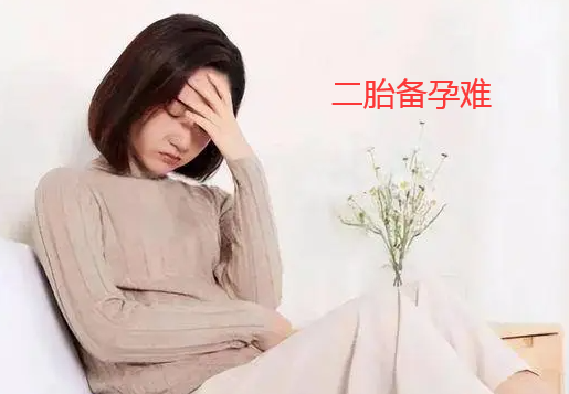 二胎备孕难可能是哪些原因.png
