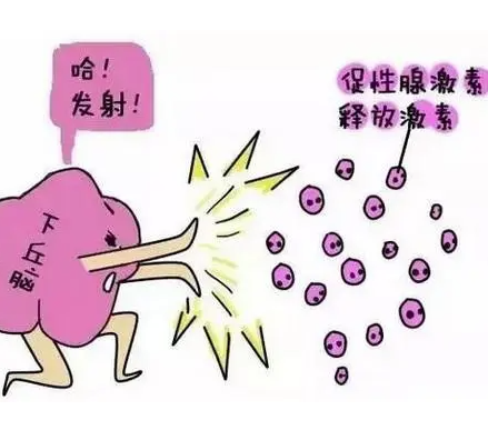 b1371d98ff1f6d9d7f064b43ba12acac62cdc.png