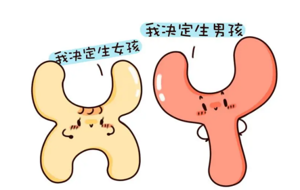 二代试管婴儿无法选择性别