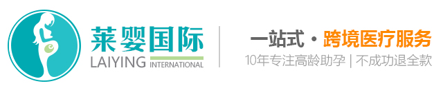 莱婴国际