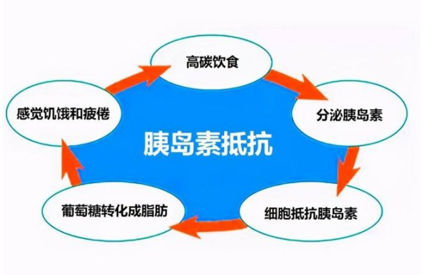 胰岛素抵抗