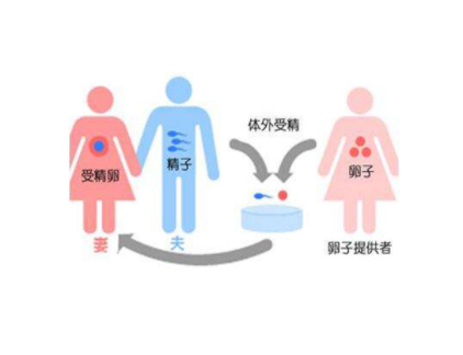借卵生子.png