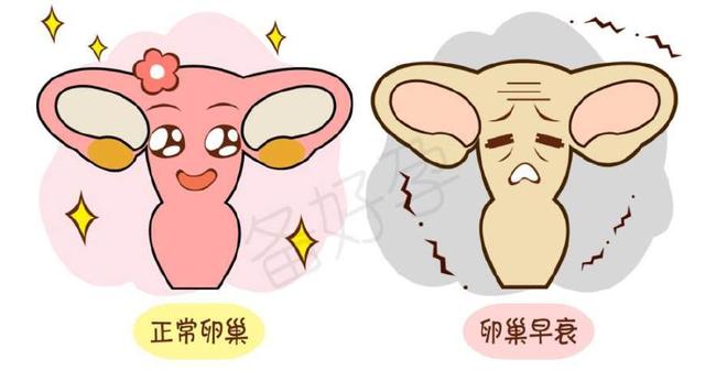 试管婴儿图片