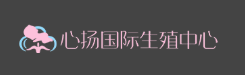 心扬国际