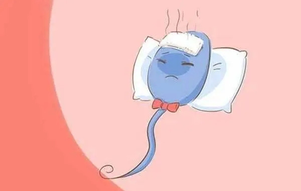 精子活力不活跃表示精子活力较差