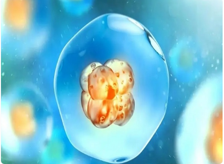 老公有轻微畸弱精子症做一代试管可以吗?