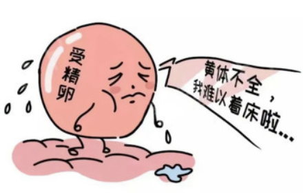 be76f43faa679f5fbbaf3f63ebe1cae90c9b3.png