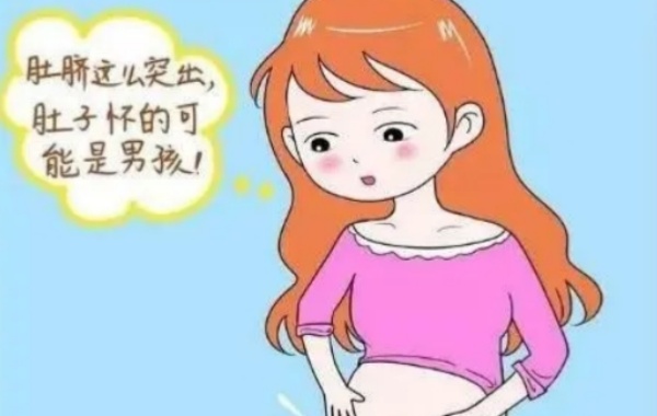男孩的胎位一般都比较高肚子会变尖