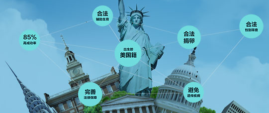 单身女性试管赴美攻略.png