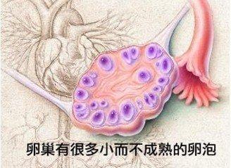 15257791314684b0f1a0e82.jpg