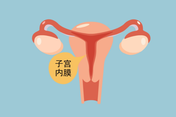 内膜厚度适宜可做试管