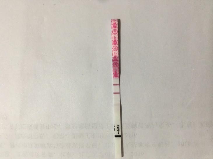 a7619ff4-56fd-450e-bf91-583bf32c4533