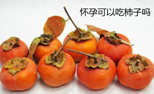怀孕可以吃柿子吗.png