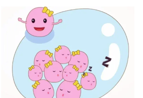 卵巢低反应的原因