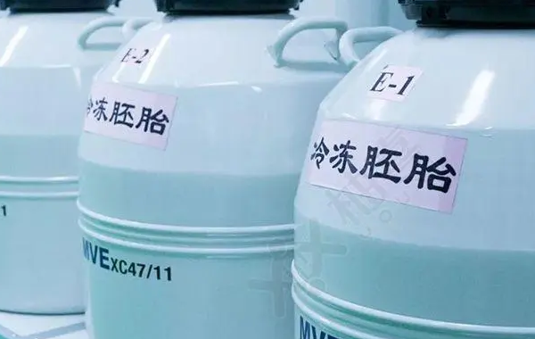 冷冻胚胎的着床时间