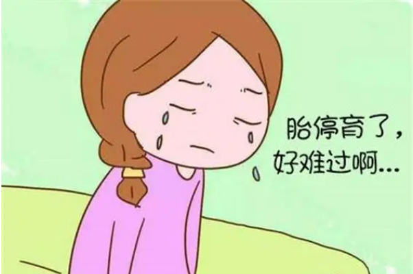 移植后胎停的概率为30%