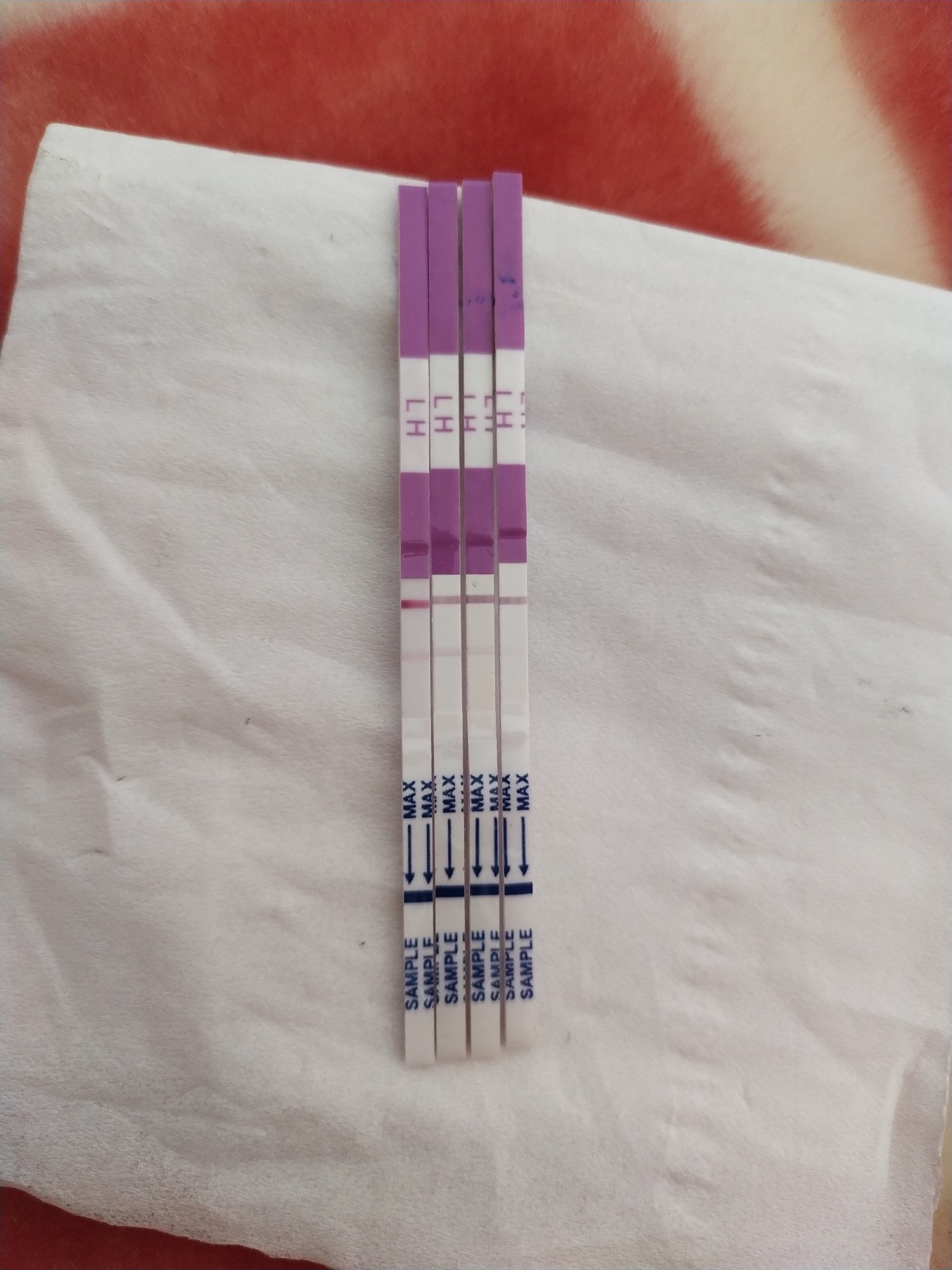 db1308ee-1a7a-4fb4-bde9-eb8b1bda00a4