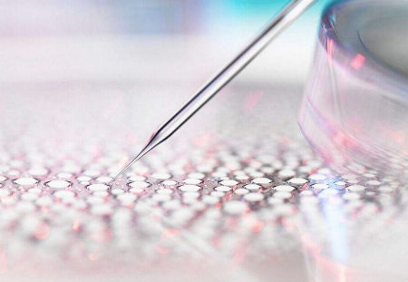 做试管婴儿移植前碰到过年怎么办