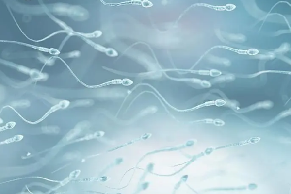二代试管能解决精子形态异常
