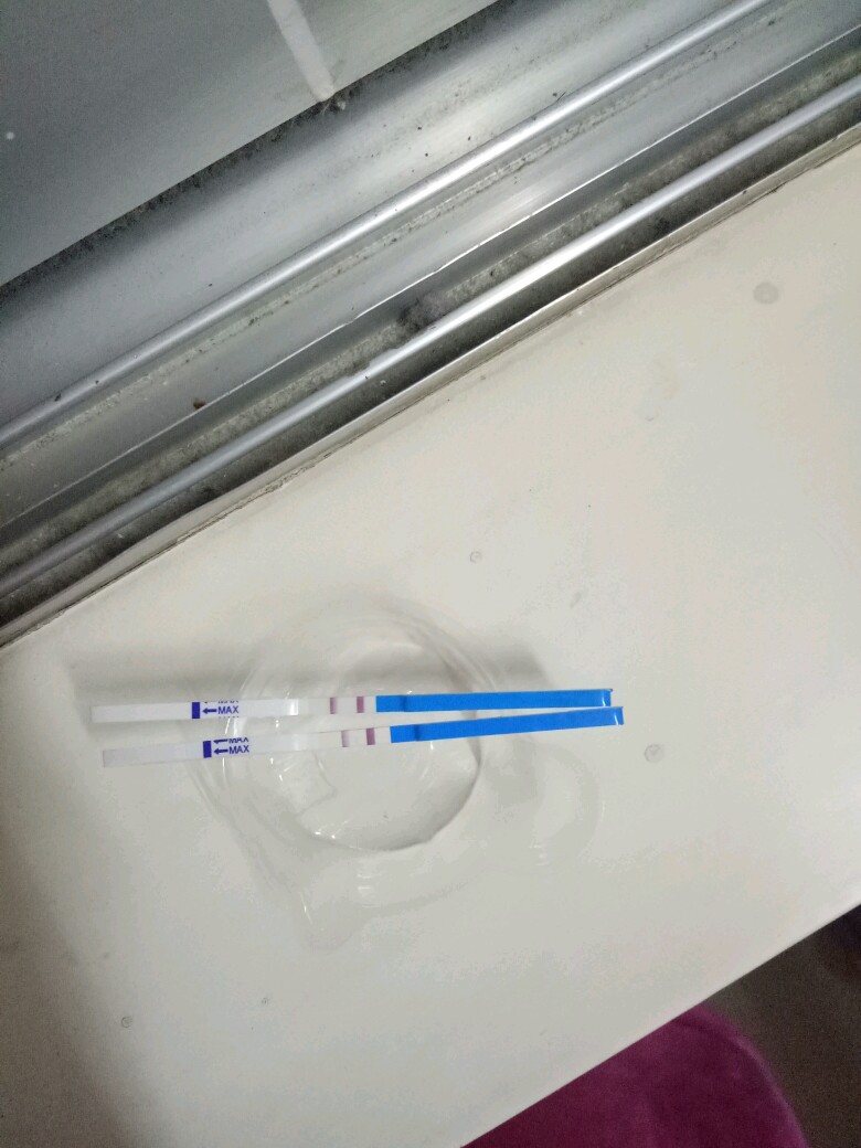 试管1.jpg