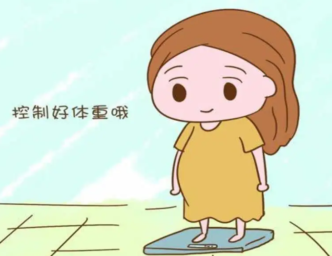 肥胖体质难孕做试管.png