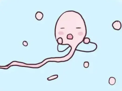 精子活动率低怎么办1.png