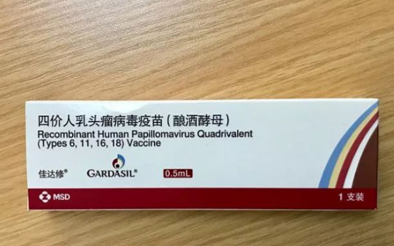 HPV感染会引起生殖器官疾病