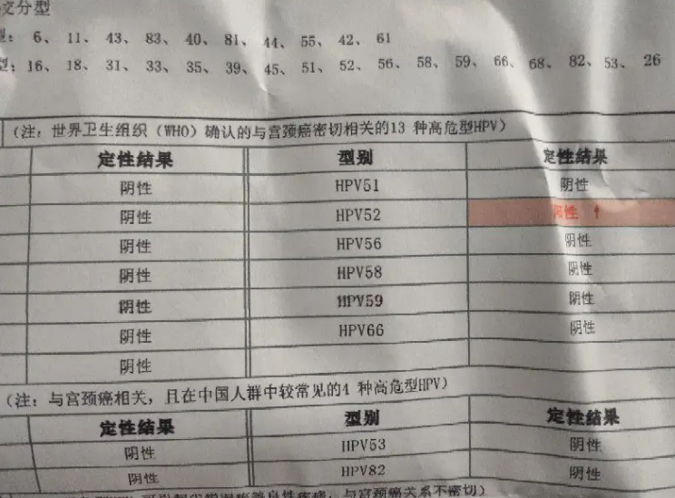 hpv52阳性.png