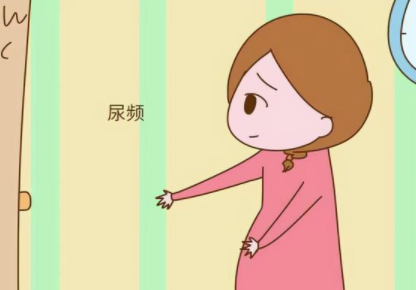 怀孕尿频是什么原因