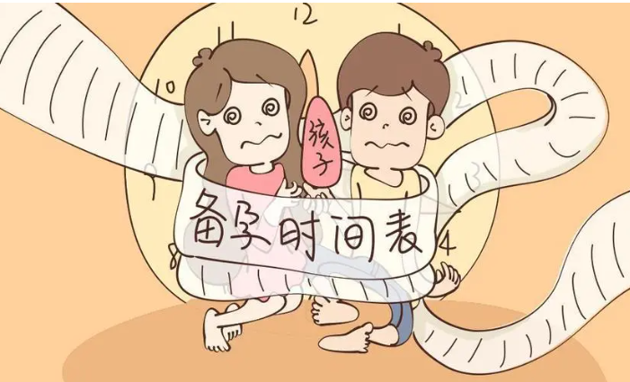 备孕怎么计算周期