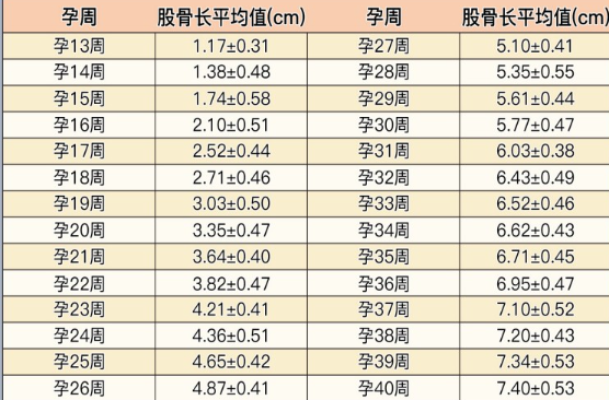 股骨长的数值会逐渐增大