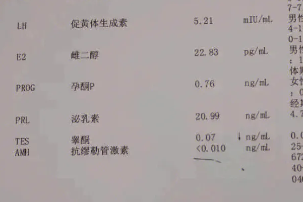 高龄女性做试管成功的概率较低
