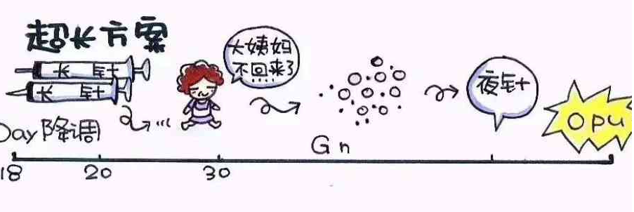超长方案促排卵泡质量.png