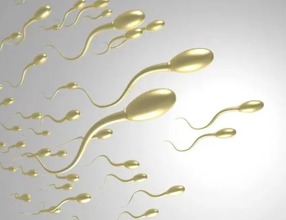 男性泌乳素高影响精子质量