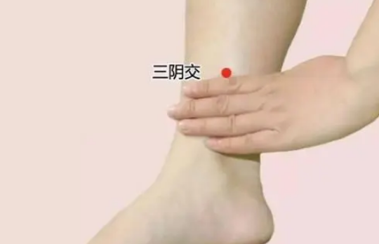 三阴交位于小腿内侧