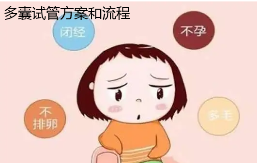 多囊试管方案和流程.png