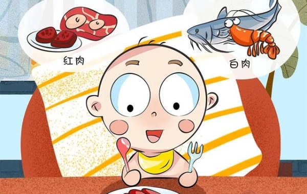 过早的食用肉类容易加重肠道负担